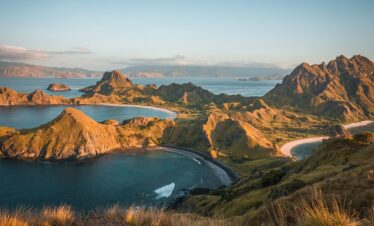 Komodo Dragon Adventures